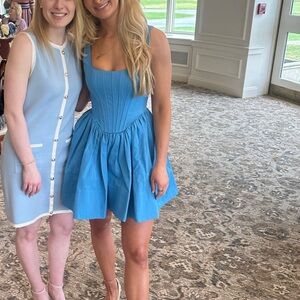 Staud The Landscape Corset Babydoll Dress in Blue